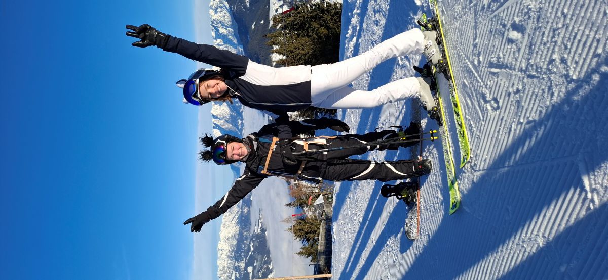 Bild Skifahrer