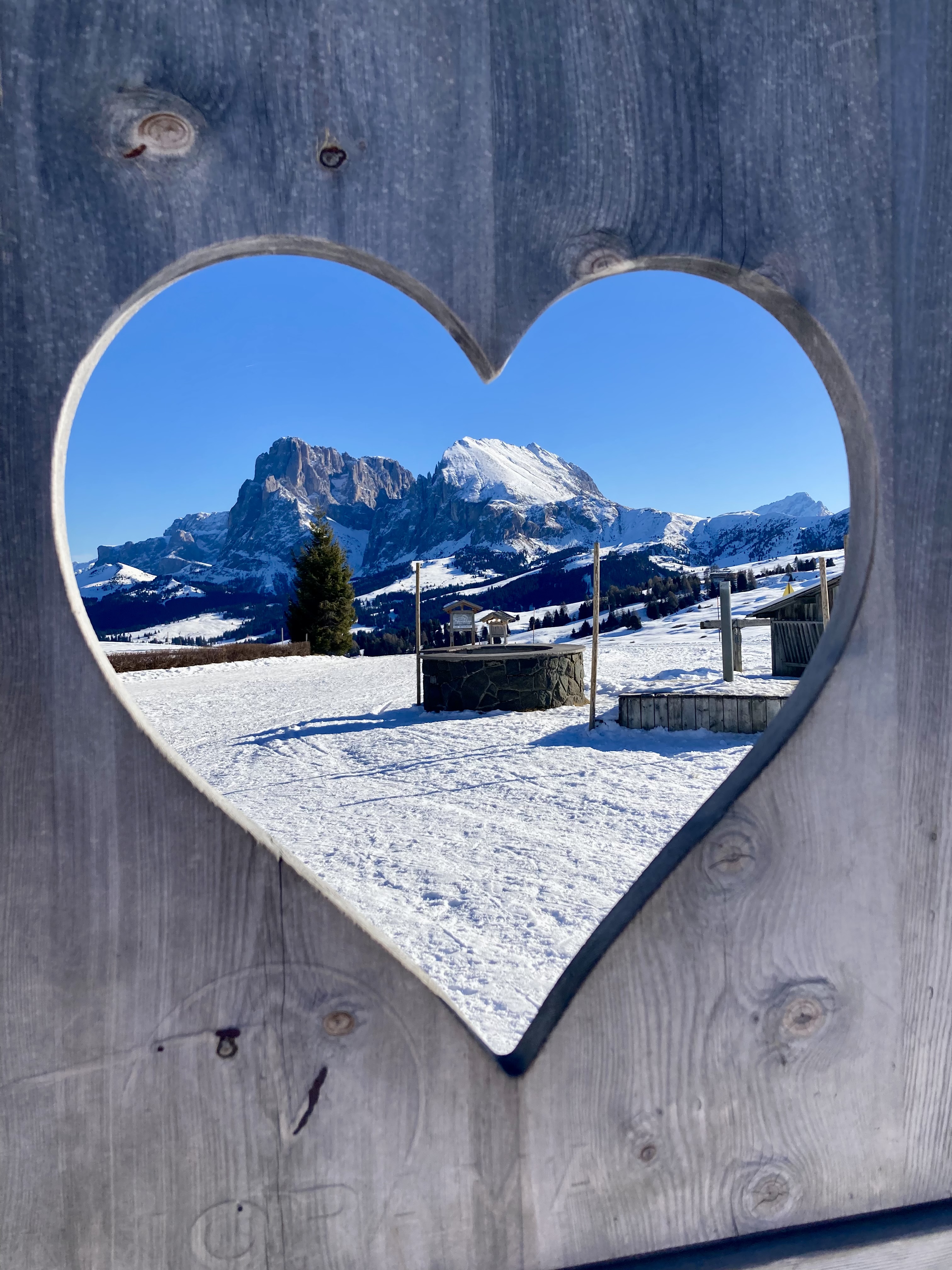 Bild neuster Artikel