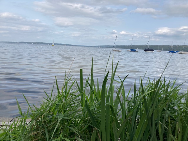 Bild neuster Artikel